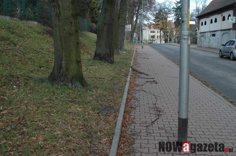 Połamane drzewa, uszkodzone linie energetyczne, przerwy w dostawie gazu