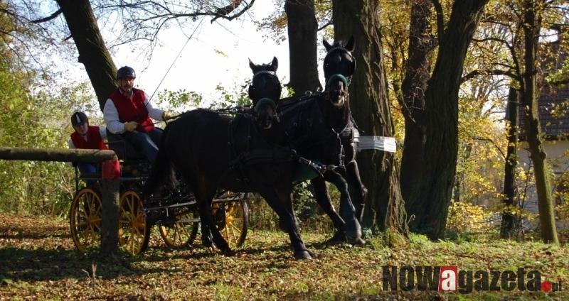 Hubertus w Powiatowym Zespole Szkół w Krzyżowicach