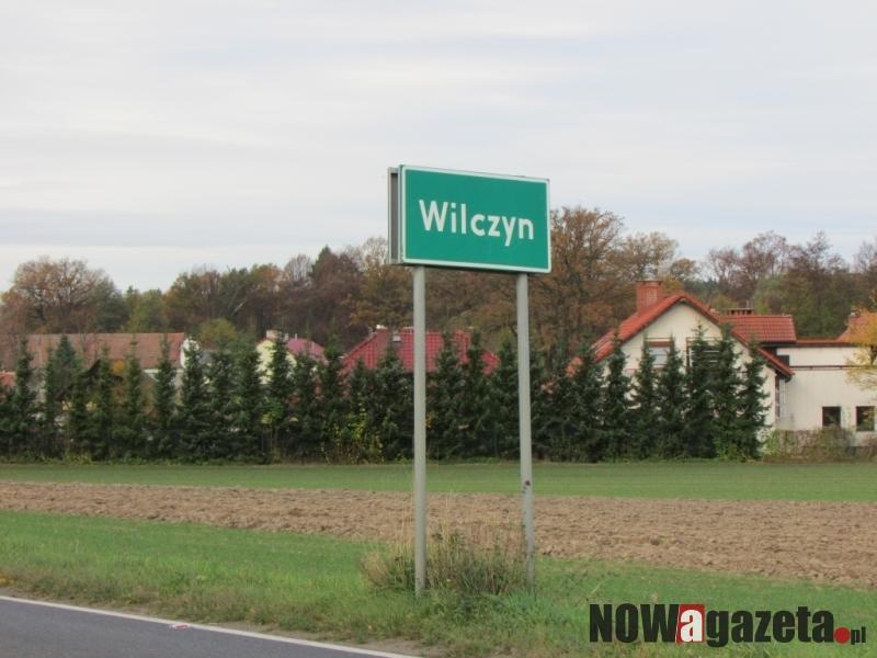 Wilczyn (bez) Leśny