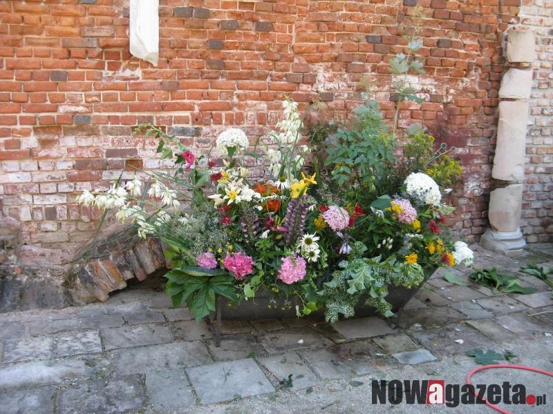 Żmigrodzki Festiwal Kwiatów po raz pierwszy