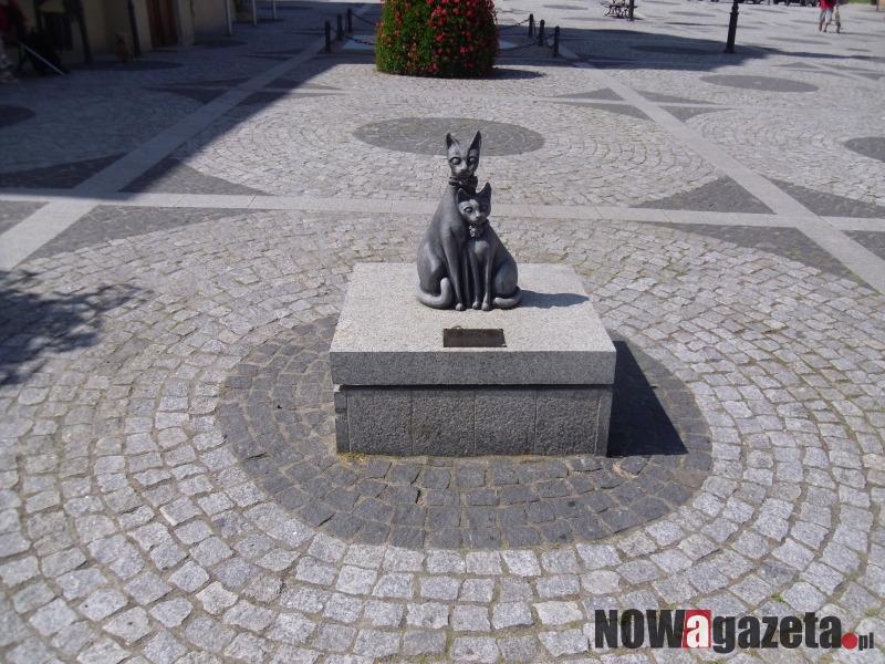 O trzebnickich kotach niezoologicznie (politycznie też nie)