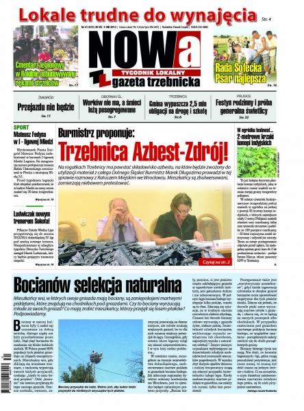 Przegląd wydania nr. 2013-31