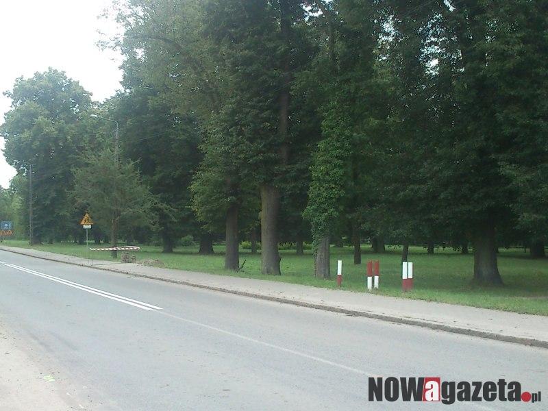 Zakaz wprowdzania psów do parku
