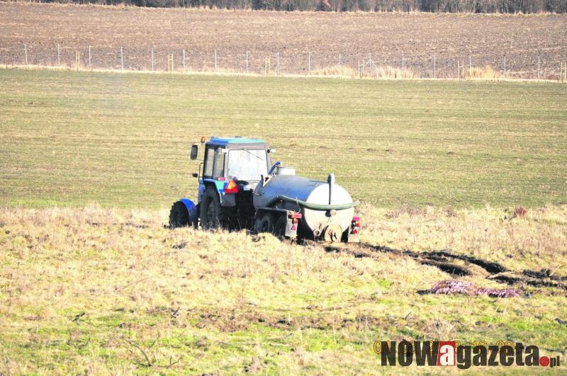 Fekalia z szamba wywożone na pole?