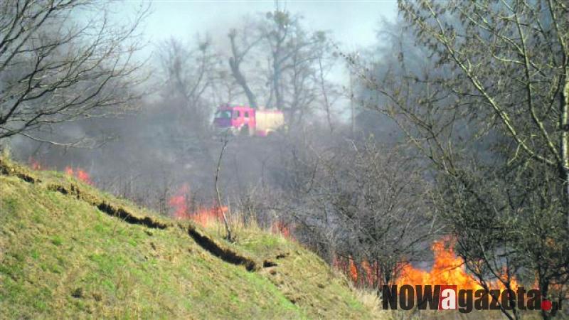 Wypalanie traw jest szkodliwe, zabronione i grożą za to kary