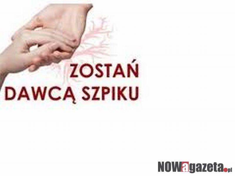 Zostań dawcą szpiku