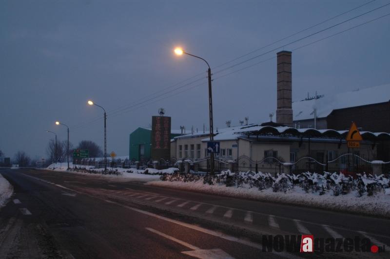 Groźne psy postrachem mieszkańców?