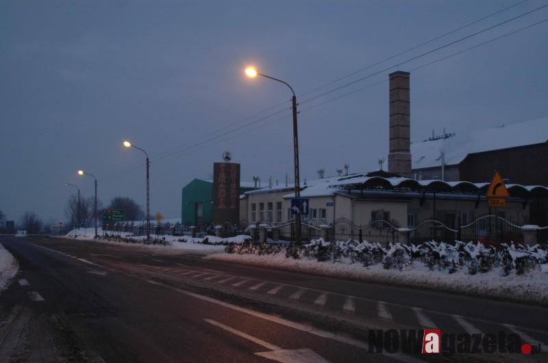 Groźne psy postrachem mieszkańców?