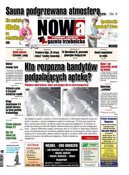 Przegląd wydania nr. 2013-6