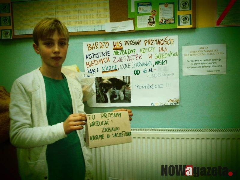 Pomoc dla bezdomnych zwierząt