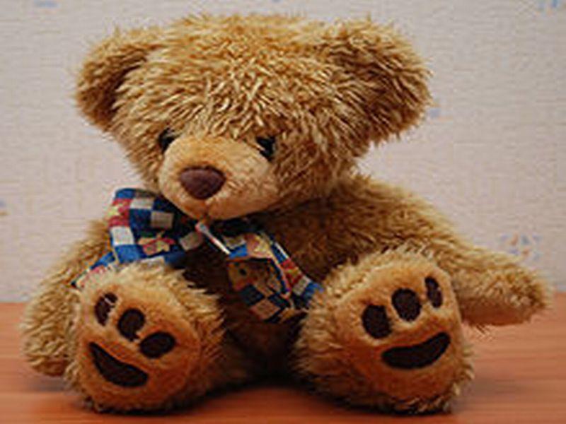 Urodziny pluszowego misia