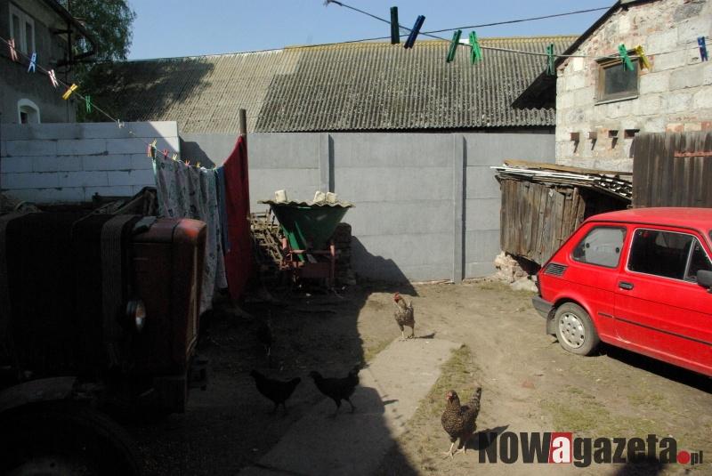 Czy sąd pogodzi rodzinę?