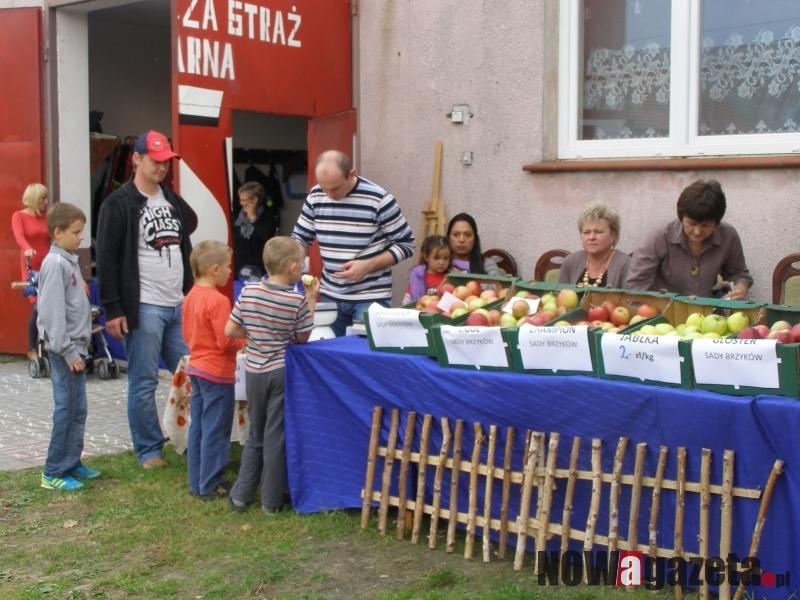 W Pawłowie Trzebnickim powstanie nowy orlik