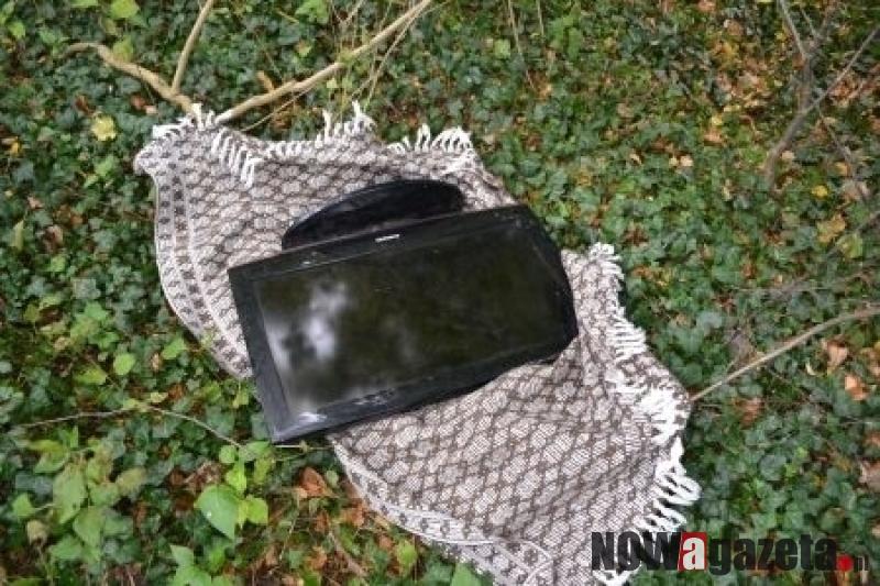 Jeden zgubił telewizor, drugi schował się w kukurydzy