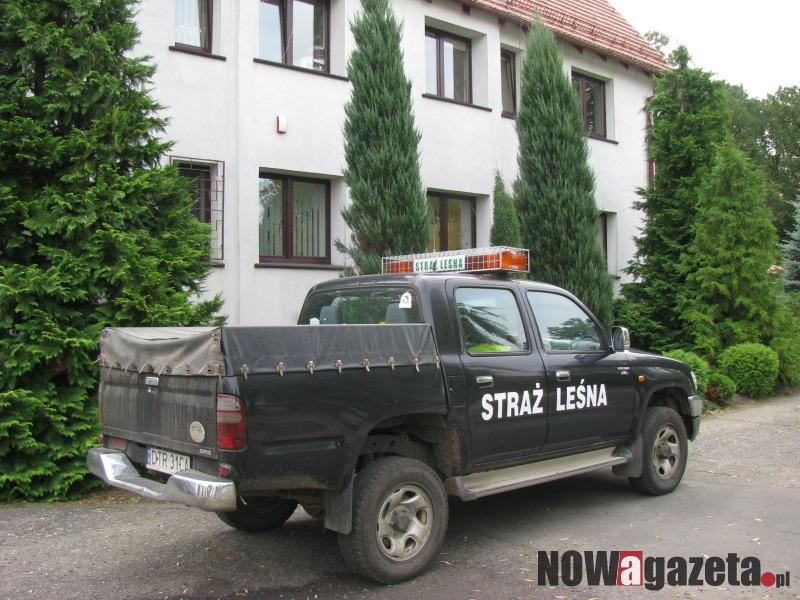 Kradzieże drewna, kłusownictwo i bezprawne parkowanie