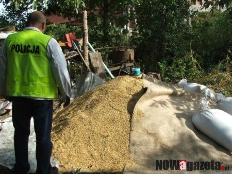 Ukradli zboże z ulicy