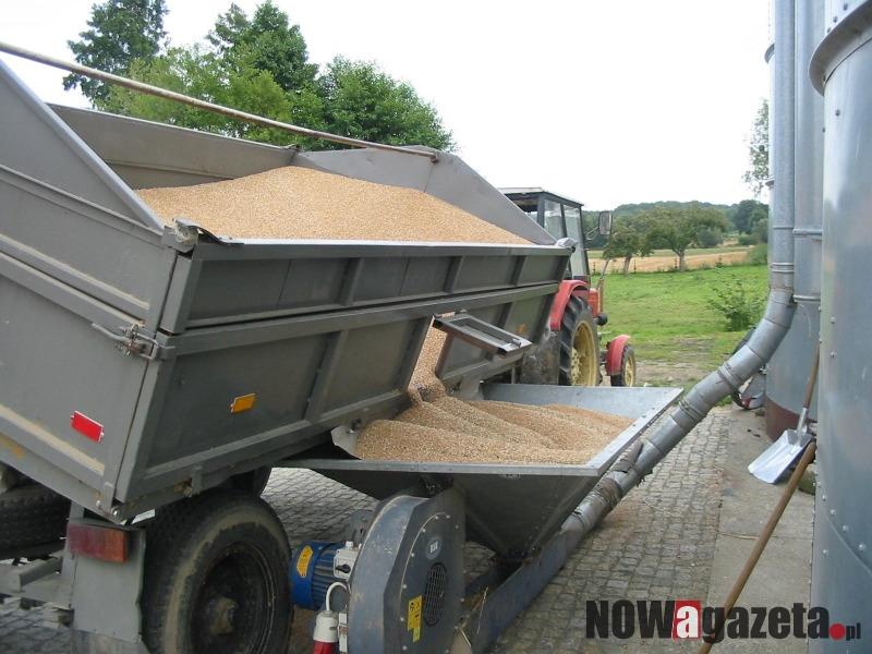 Rolnicy kończą zbiory tegorocznych plonów