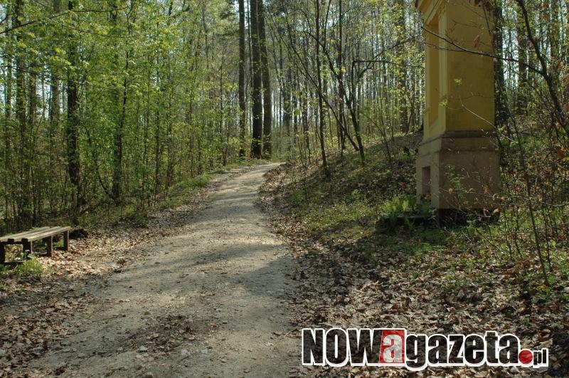 Naprawa ścieżek w Bukowcu