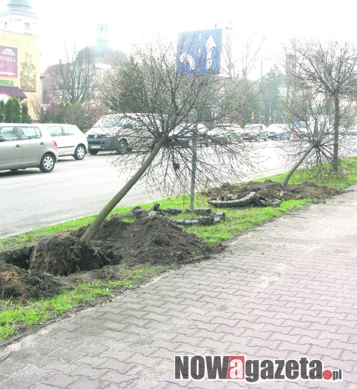 Zatoczki autobusowe na ulicy ks. Bochenka