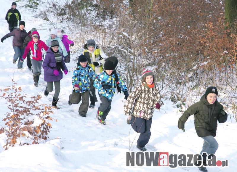 Półkolonie na basenie i nie tylko