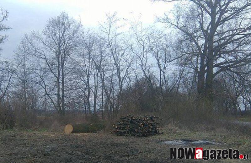 Zakaz wstępu do parków
