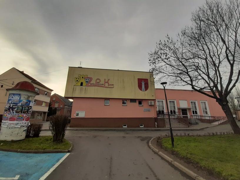 Druid Maciej i Mądrość Zielonego Lasu
