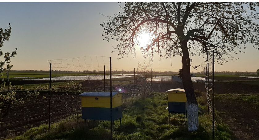 Dziś świętujemy Dzień Naszej Planety - Matki Ziemi 