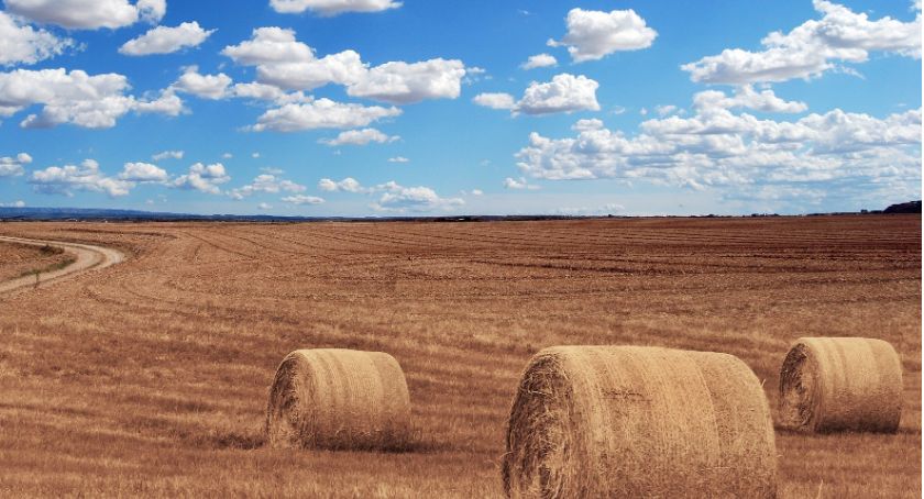 300 tys. zł na odtworzenie potencjału produkcji rolnej