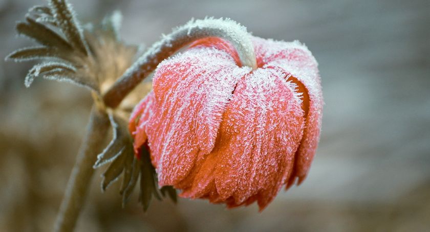 Nagły spadek temperatury