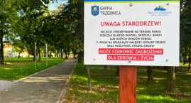 Park Kaczyńskich zagrożeniem dla mieszkańców! Na remont wydano około 3 mln zł