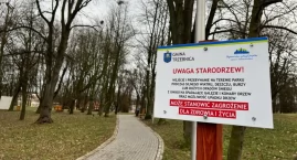 Trzebnica: Silne porywy wiatru. Do parku Kaczyńskich wchodzisz na własne ryzyko