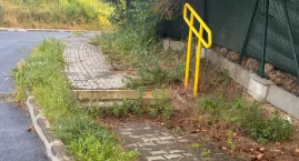 Zdjęcie przedstawia: Zarastające chodniki. Mieszkańcy apelują o interwencję
