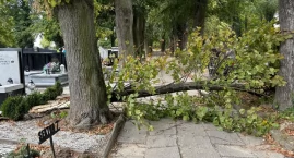 Czy znowu musi dojść do tragedii? Zobaczcie co odpow…