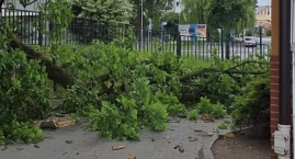 Spadł konar. Setki ludzi tędy przechodzą