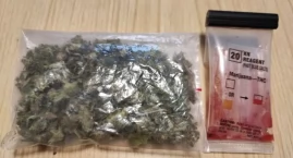 Pies znalazł marihuanę. Narkotykowy trop zakończył s&hellip;