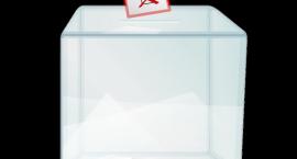 Czy warto iść na wybory?