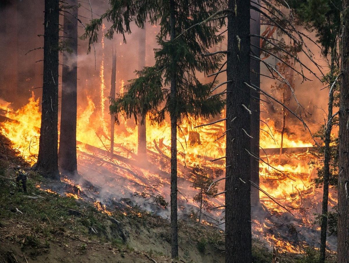 Biskup Tomasik o podpalaczach i pożarach