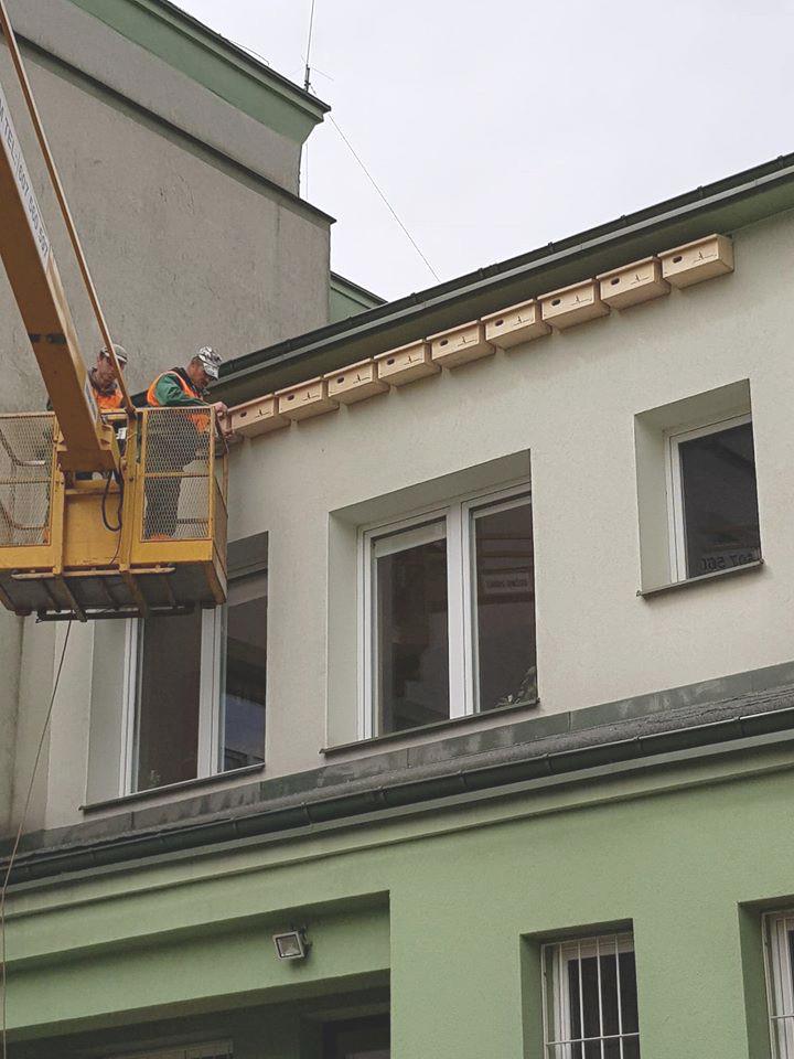 Ekologiczny sposób na komary