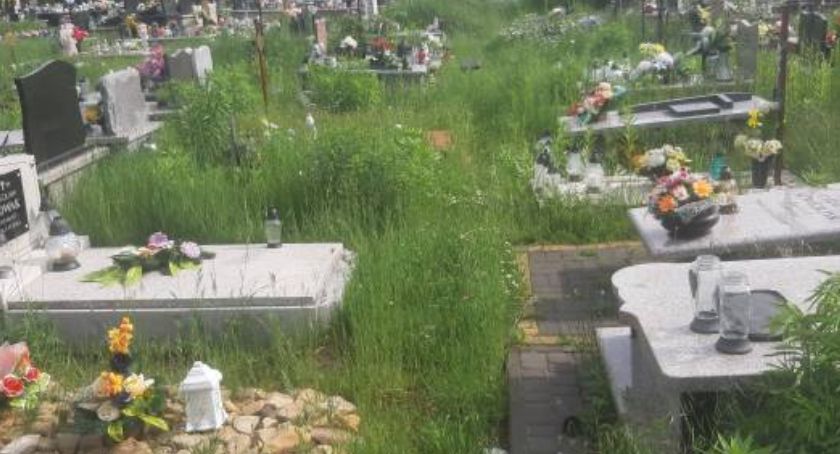 Wstyd! Żeby tak było na starachowickim cmenatrzu