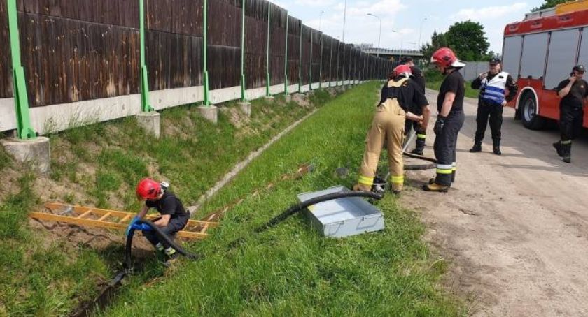 Oni czuwają nad naszym bezpieczeństwem ekologicznym
