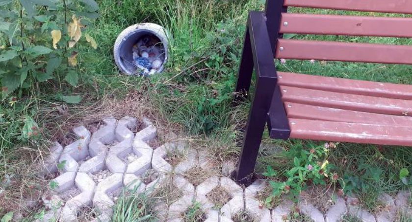 Wandali u nas nie brakuje