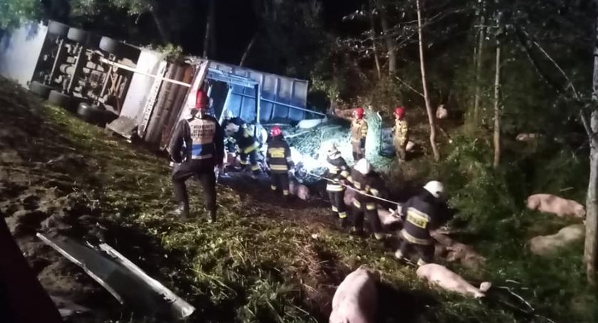 TIR ze zwierzętami w rowie. Nie żyje kierowca z gm. Mirzec