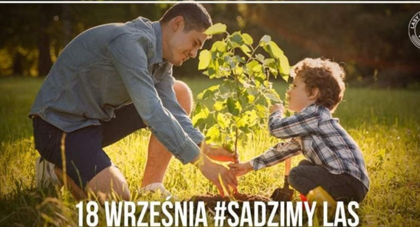 Chcesz zasadzić drzewo? Odbierz sadzonkę
