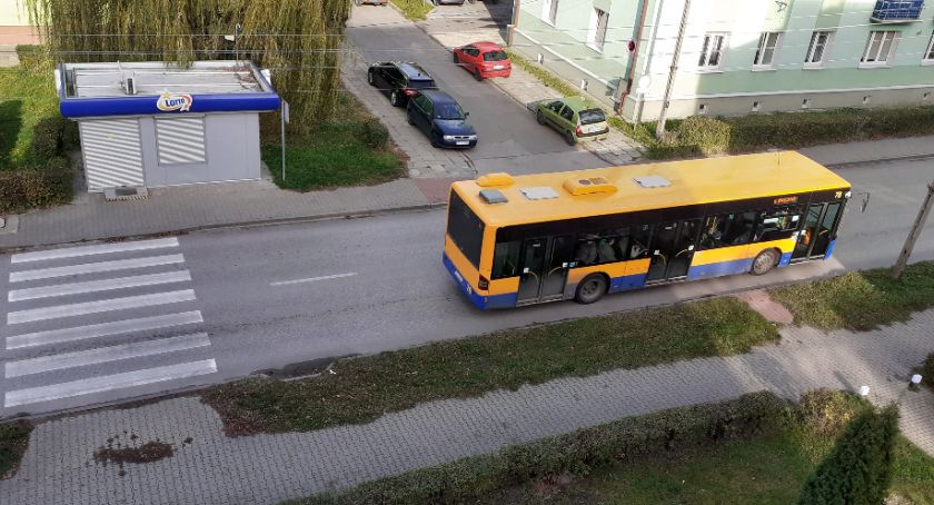 Z dowodem rejestracyjnym autobusem za darmo