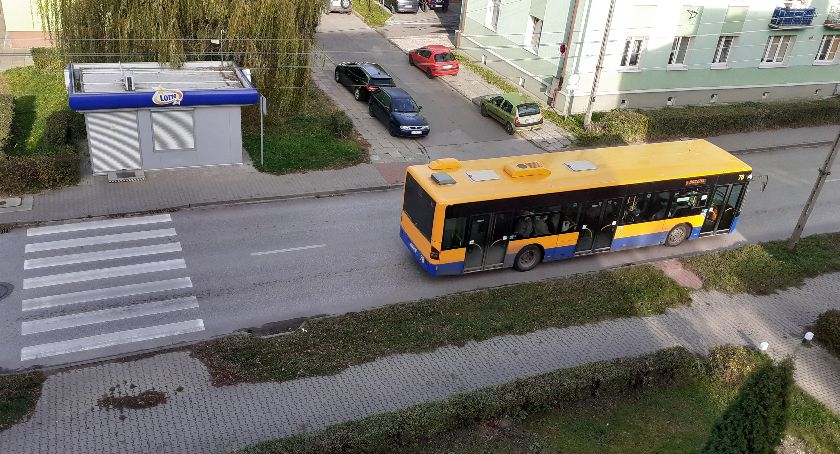 Jutro w Starachowicach autobusem za darmo