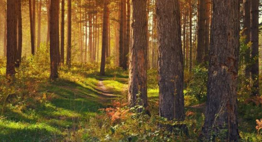 Dzień Dzikiej Flory, Fauny i Naturalnych Siedlisk