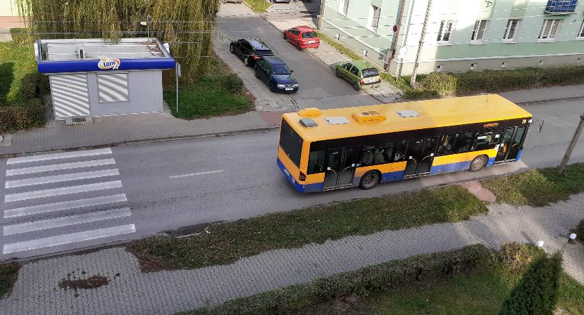 Bezpłatna komunikacja 1 listopada. Zobacz rozkład jazdy