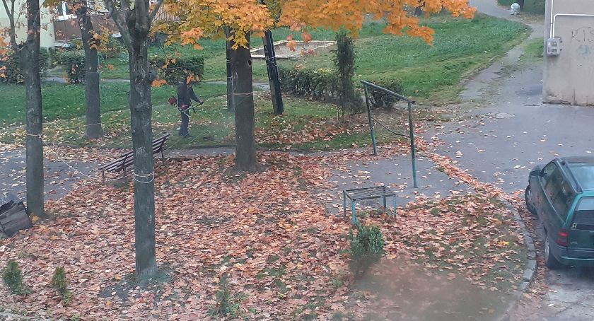 Zamiast grabić koszą...