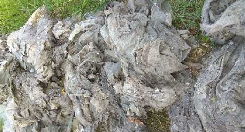 Toaleta to nie kosz na śmieci