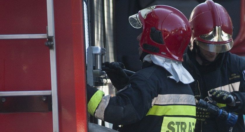 Sarna w niebezpiecznej pułapce. Strażacy musieli rozcinać barierę 